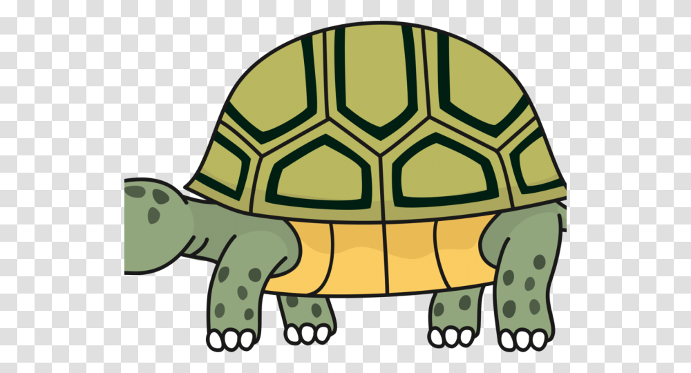 Turtoise Clipart Desert Tortoise Clip Art Tortoise, Turtle, Reptile, Sea Life, Animal Transparent Png