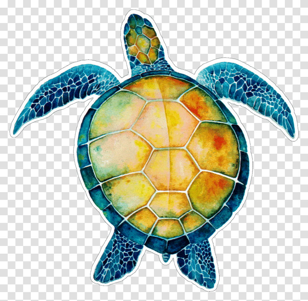 Turtule On Sea Quotes, Turtle, Reptile, Sea Life, Animal Transparent Png