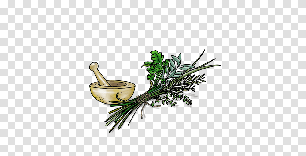 Tuscan Herb Olive This, Potted Plant, Vase, Jar, Pottery Transparent Png