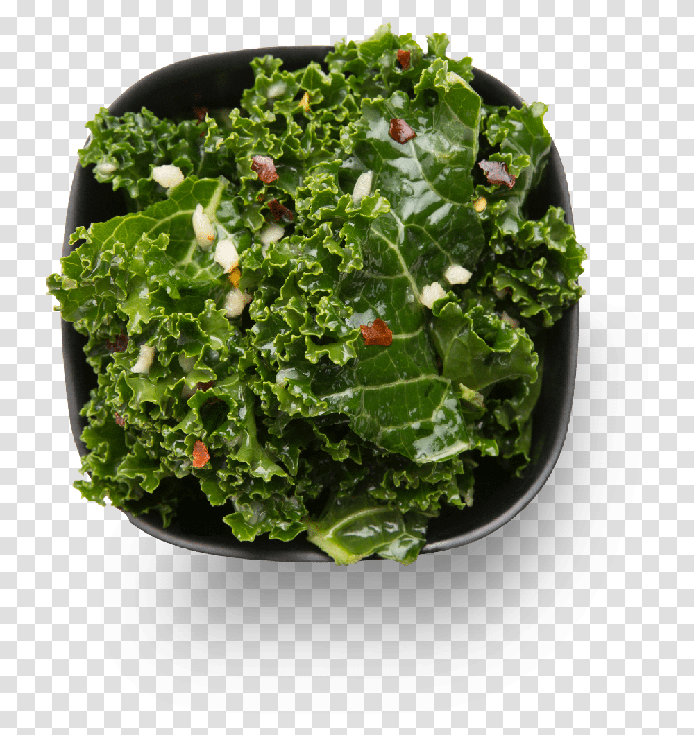 Tuscan Kale Side Salad Kale Salad, Cabbage, Vegetable, Plant, Food Transparent Png