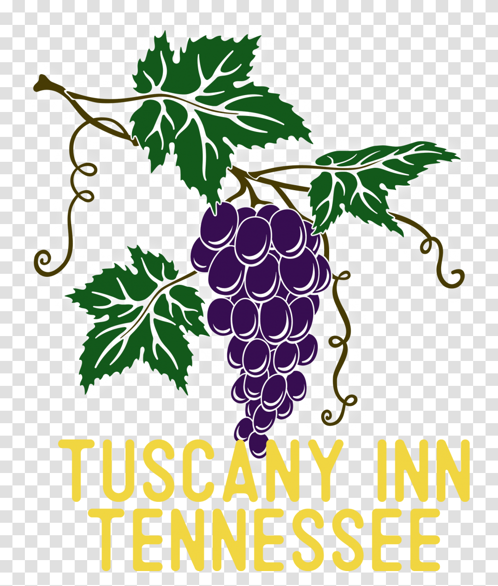 Tuscany Inn Tennessee Seedless Fruit, Plant, Grapes, Food, Leaf Transparent Png