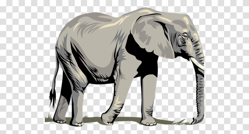 Tusk Clipart Asia Animal Clipart Elephant Background, Wildlife, Mammal, Person, Human Transparent Png