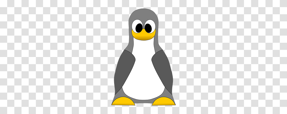 Tux Bird, Animal, Penguin, King Penguin Transparent Png