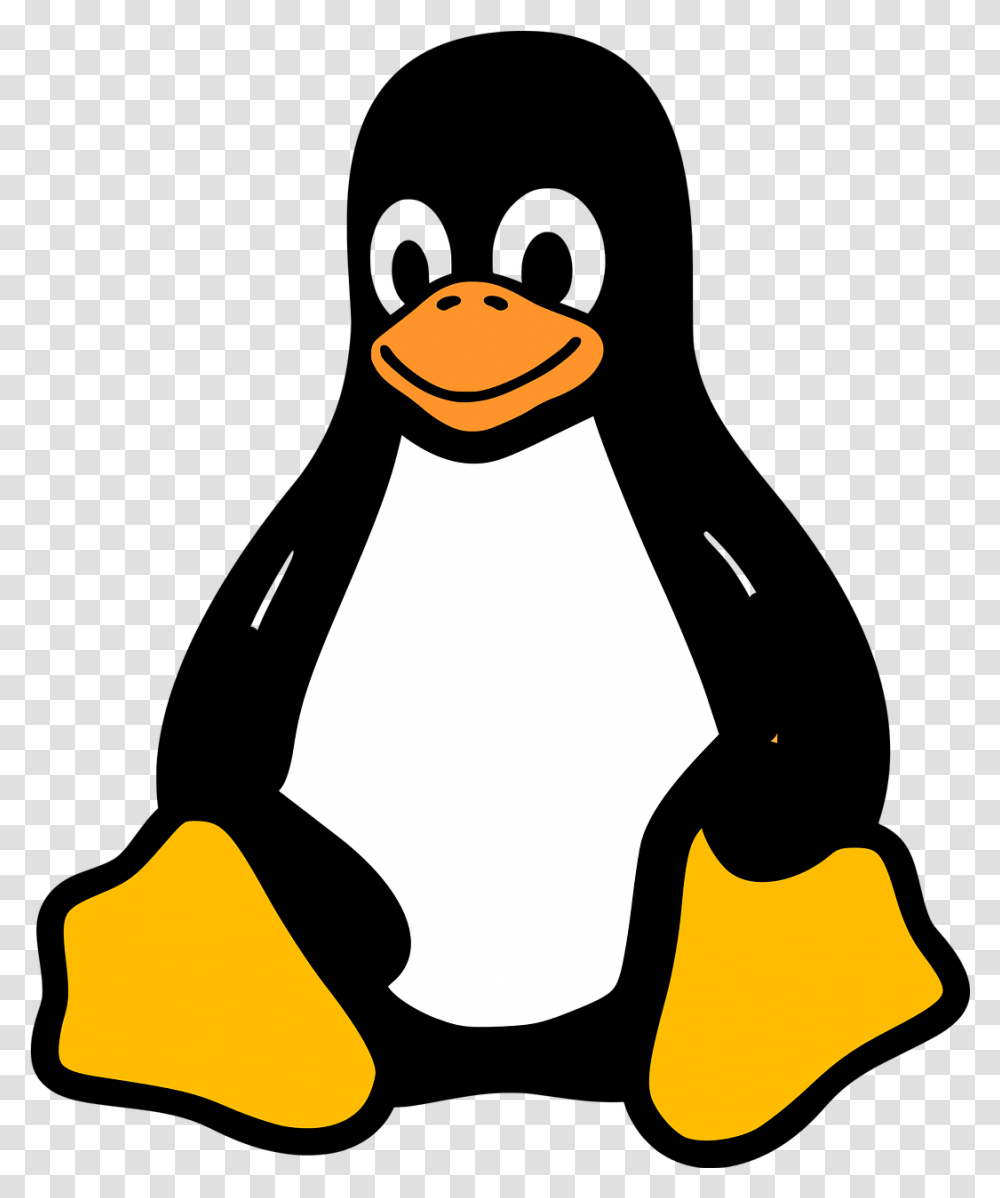 Tux Kernel Racer Penguins Linux Penguin Linux, Sack, Bag, Fire, LCD Screen Transparent Png