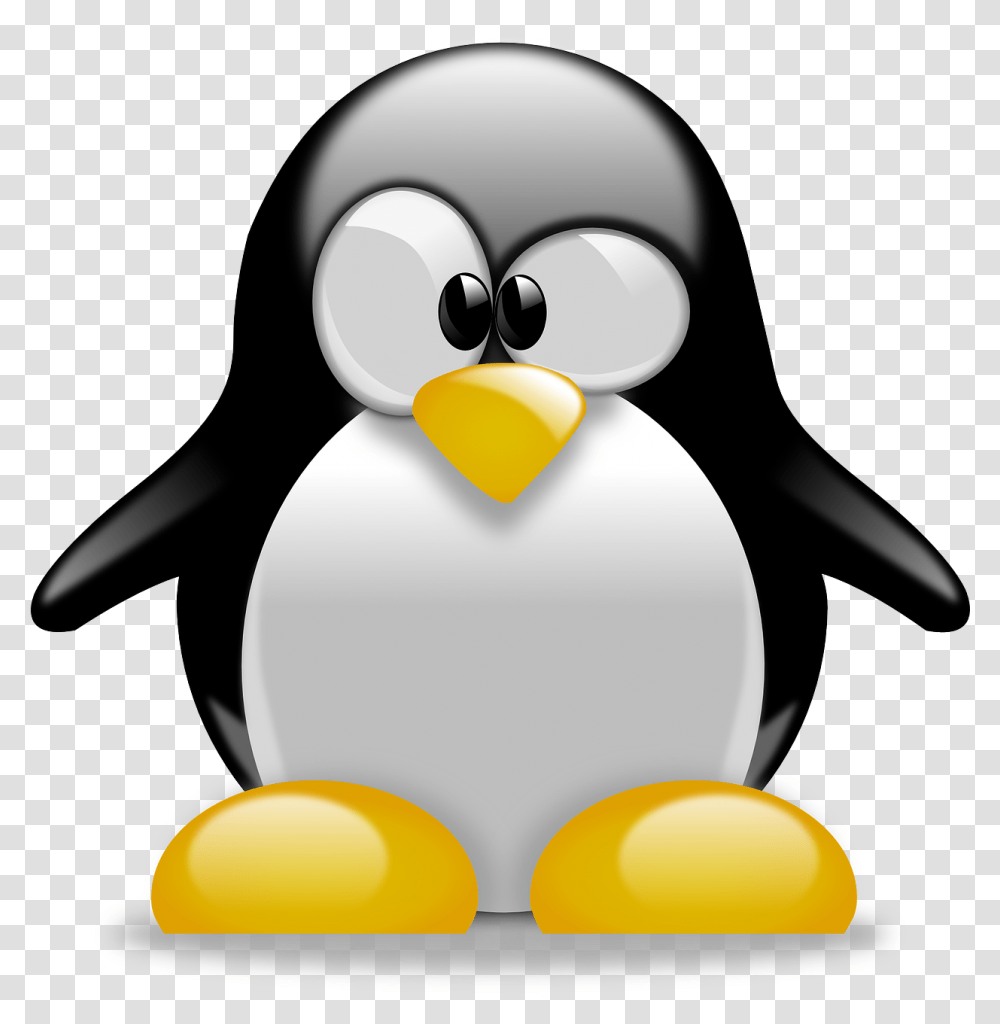 Tux Penguin Animal Free Vector Graphic On Pixabay Cute Tux Penguin, Bird, King Penguin Transparent Png