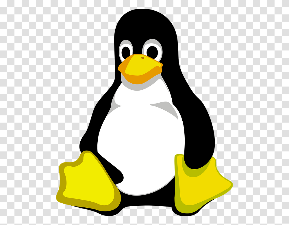 Tux Penguin Linux Animal Cute Comic Cartoon Logo De Linux, Snowman, Winter, Outdoors, Nature Transparent Png