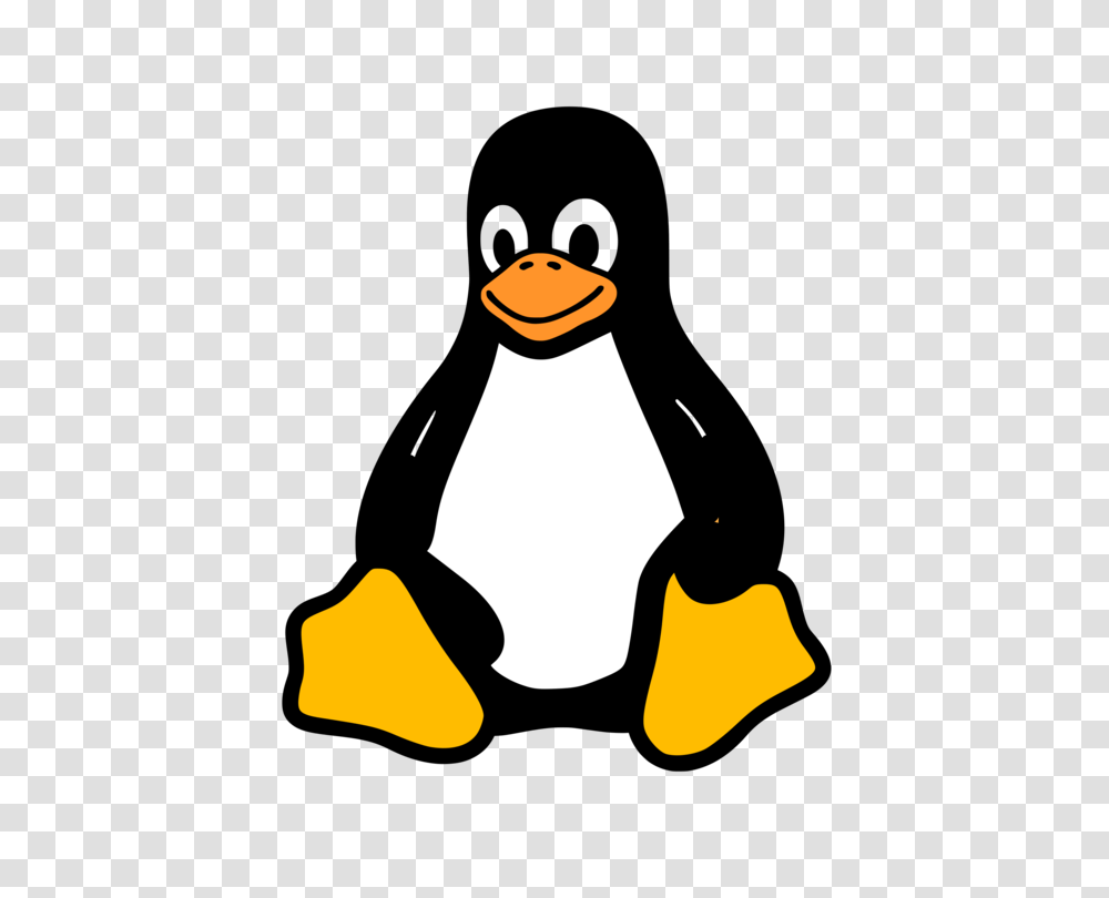 Tux Racer Penguin Linux Kernel, Sack, Bag, Party Hat Transparent Png