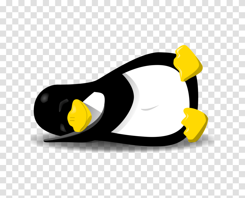 Tux Racer Penguin Linux T Shirt, Animal, Bird, Hardhat Transparent Png