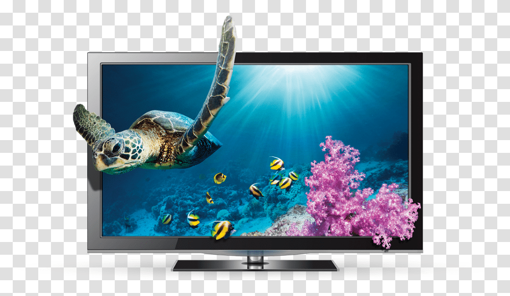 Tv 3d Background, Monitor, Screen, Electronics, Display Transparent Png