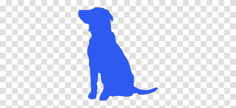 Tv Commercial Video Production Daytona Animated Blue Dog, Silhouette, Person, Human, Kneeling Transparent Png