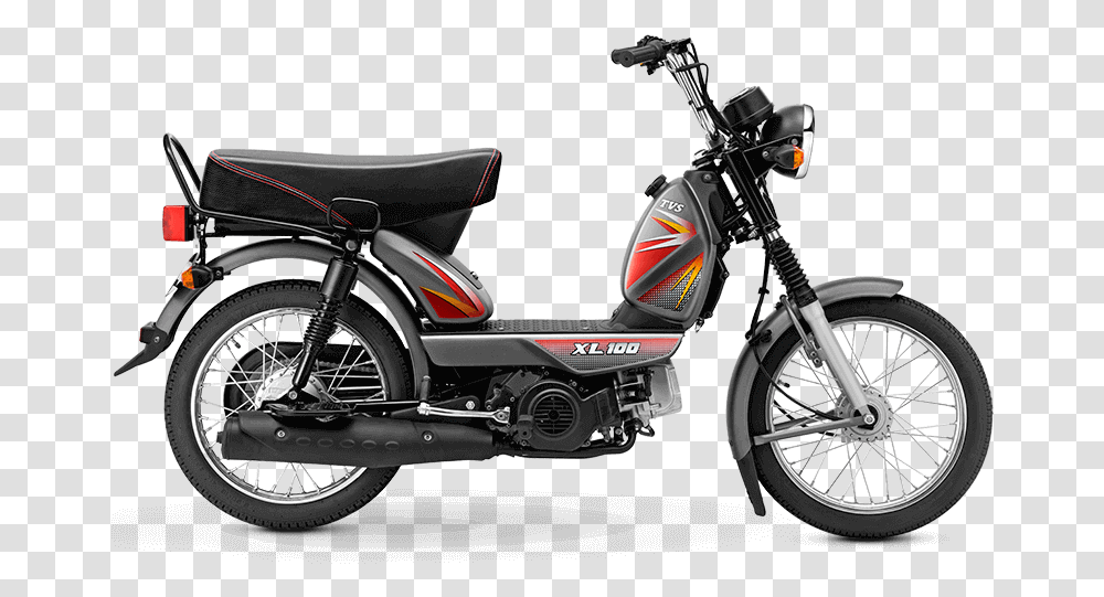 Tvs Bike Tvs Bikes, Motorcycle, Vehicle, Transportation, Wheel Transparent Png