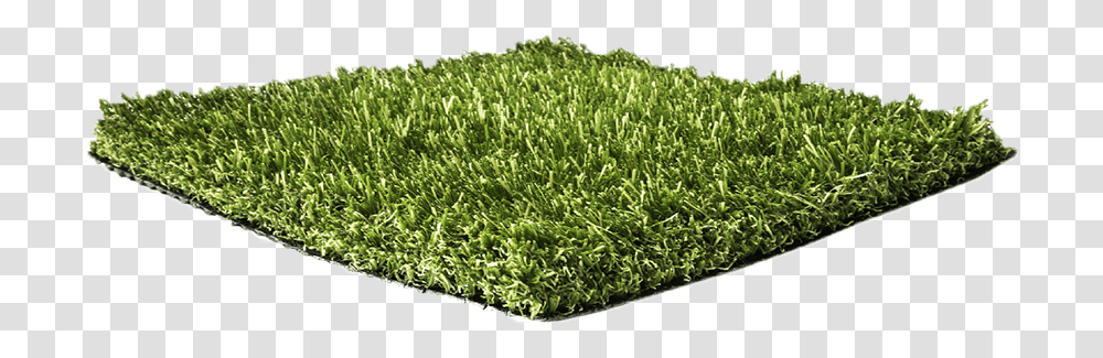 Twd Elite Kunstgras Mat, Vegetation, Plant, Bush, Grass Transparent Png