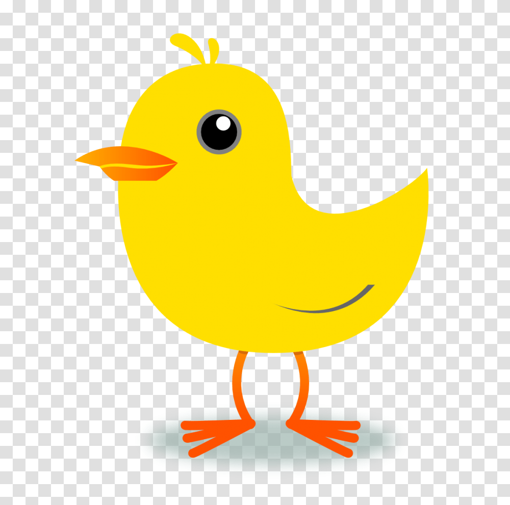 Tweet Clipart, Bird, Animal, Fowl, Chicken Transparent Png