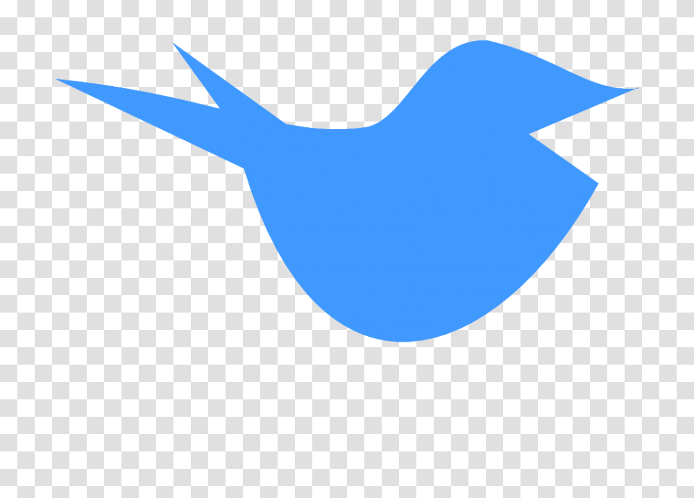 Tweet Tweet, Shark, Fish, Animal, Bird Transparent Png