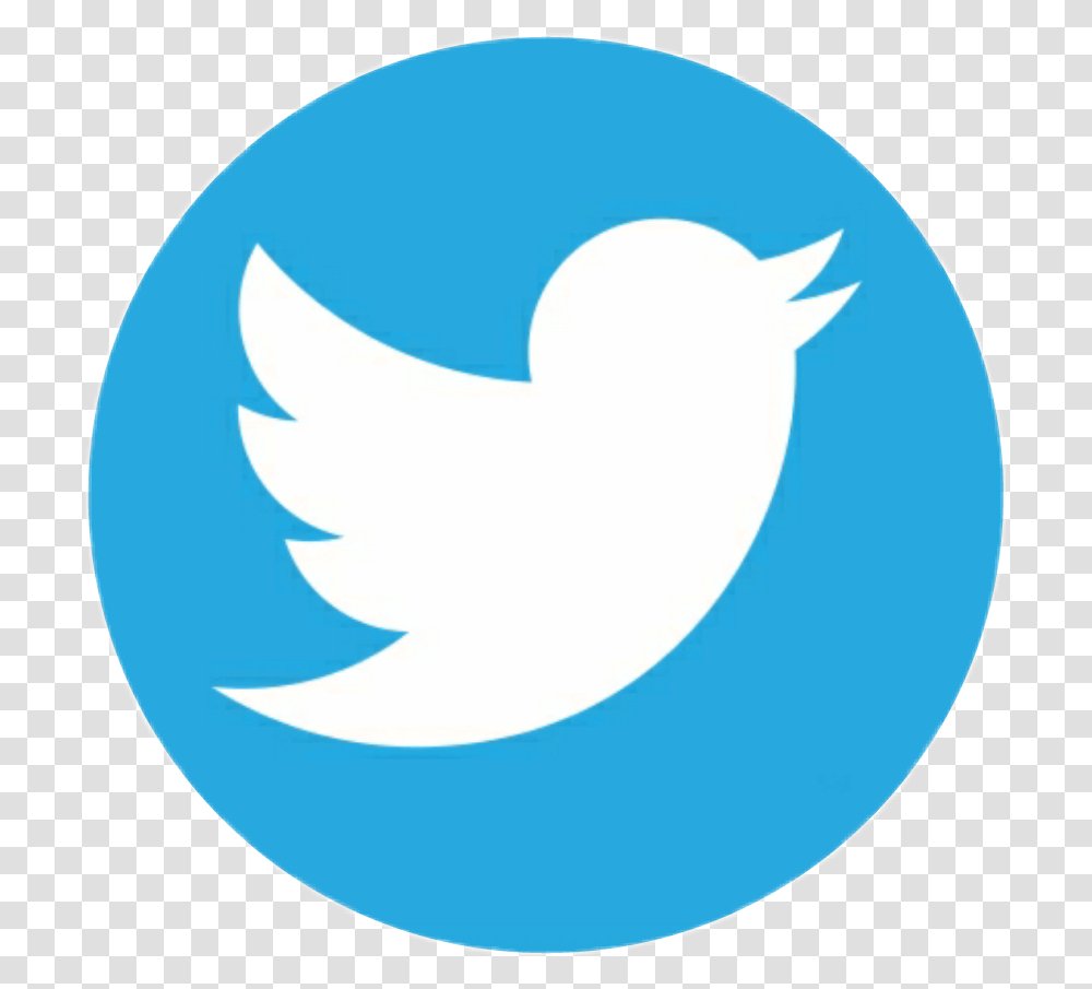 Tweet Twitter Picsart Picsartlogo Logo Lol Kakao Circle Twitter Logo, Shark, Fish Transparent Png