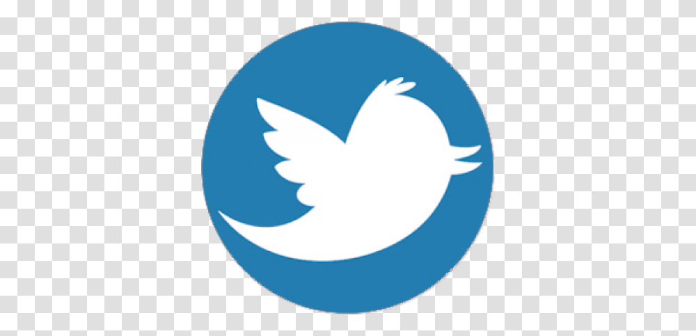 Tweeter Par Mail Est Dsormais Possible Facebook Icon Circle In Svg, Logo, Symbol, Trademark, Shark Transparent Png