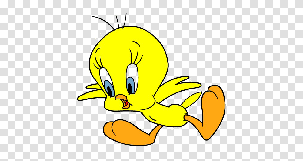 Tweety Bird Download Image Vector Clipart, Banana, Animal, Invertebrate, Poultry Transparent Png