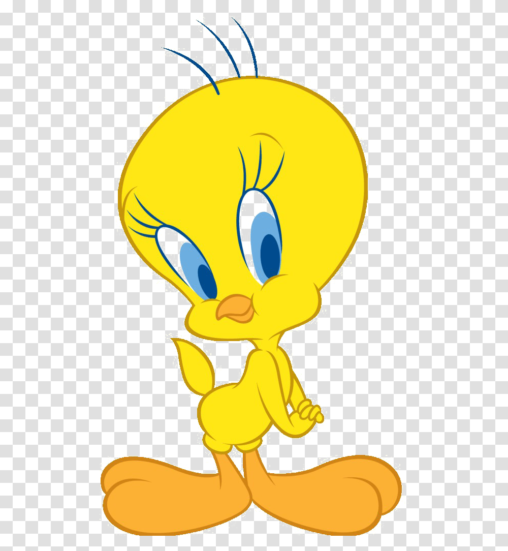Tweety Bird Photo Arts Tweety Looney Tunes Sylvester, Light, Clothing, Gold, Food Transparent Png