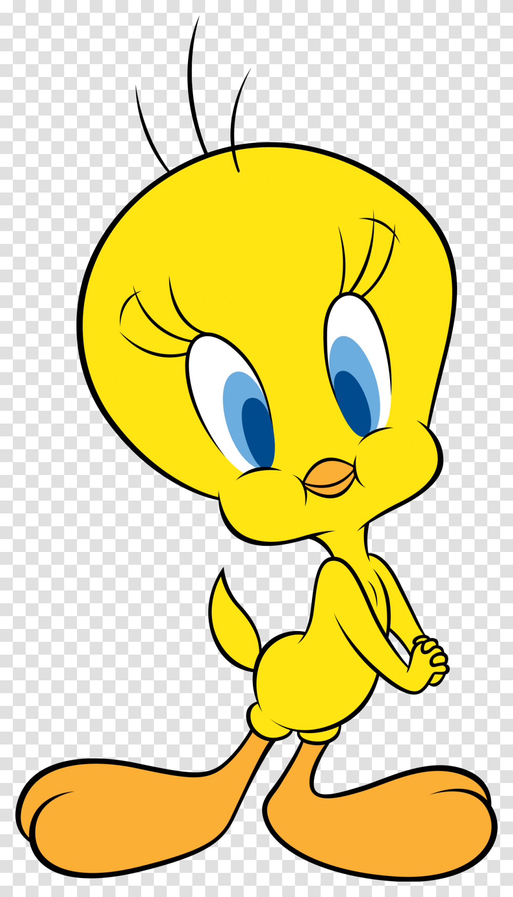 Tweety, Light, Animal Transparent Png