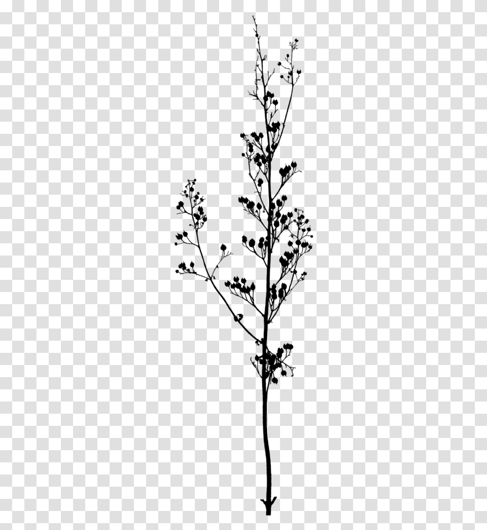 Twig Branch A Buddhist Spectrum Tree Black And White Flowers, Gray, World Of Warcraft Transparent Png