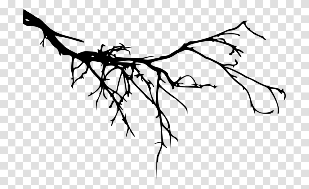 Twig Branch Silhouette Tree Branch Silhouette, Plant, Root, Leaf, Green Transparent Png