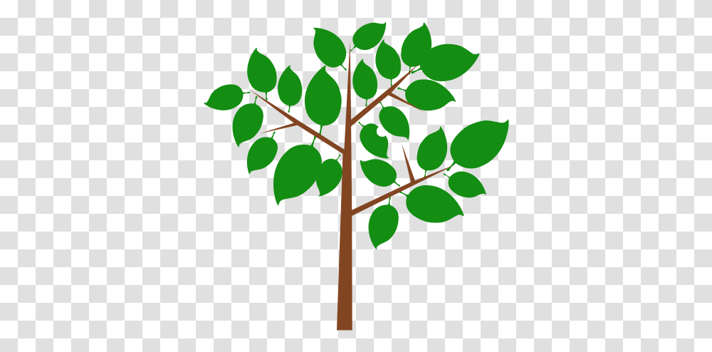 Twig Branches Tree Icon, Leaf, Plant, Fruit, Food Transparent Png