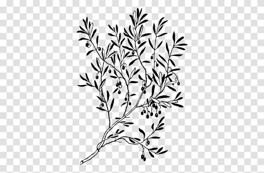 Twig Clipart Black And White, Stencil, Pineapple, Fruit, Plant Transparent Png