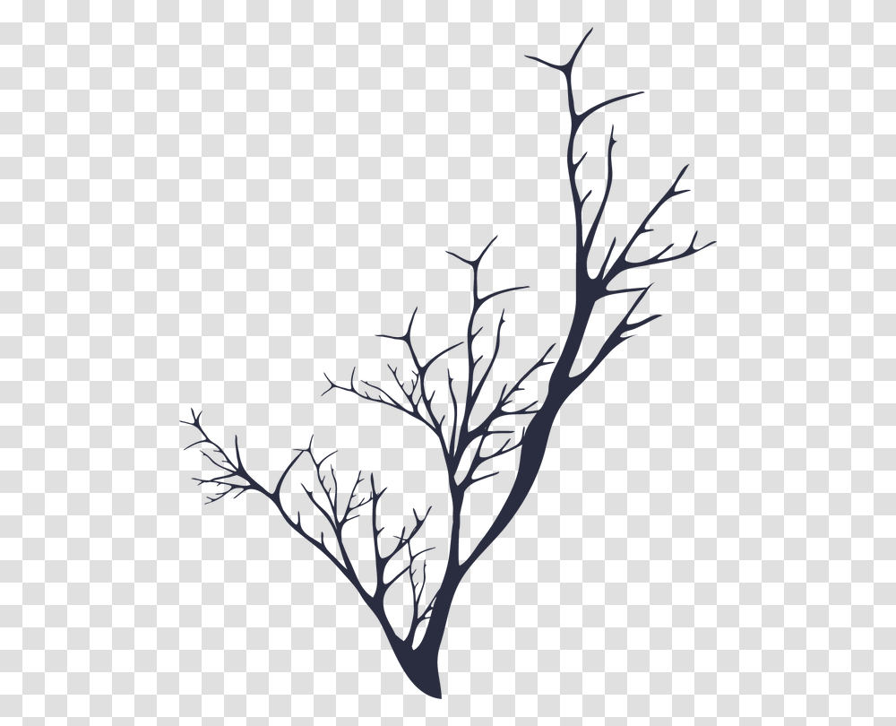 Twig Clipart Download Twig, Nature, Silhouette, Outdoors Transparent Png