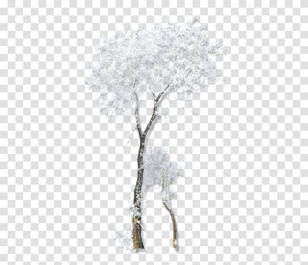 Twig Drawing Winter Belvedere Vodka Snow Tree Gif, Nature, Outdoors, Ice, Frost Transparent Png