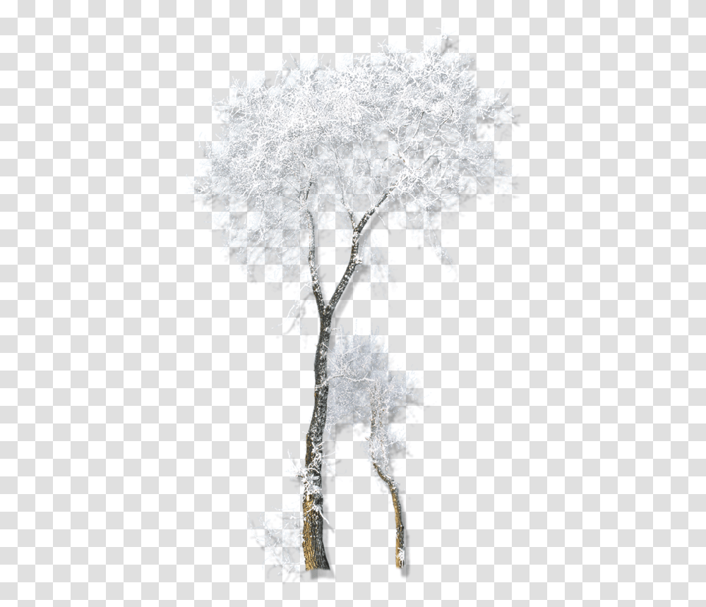 Twig Drawing Winter Belvedere Vodka Tube Arbre Hiver, Nature, Outdoors, Ice, Snow Transparent Png