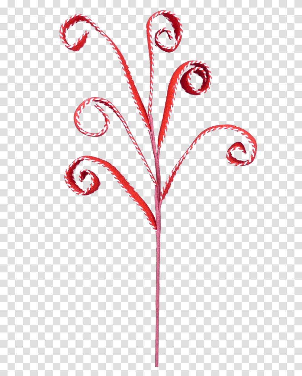 Twig, Floral Design, Pattern Transparent Png