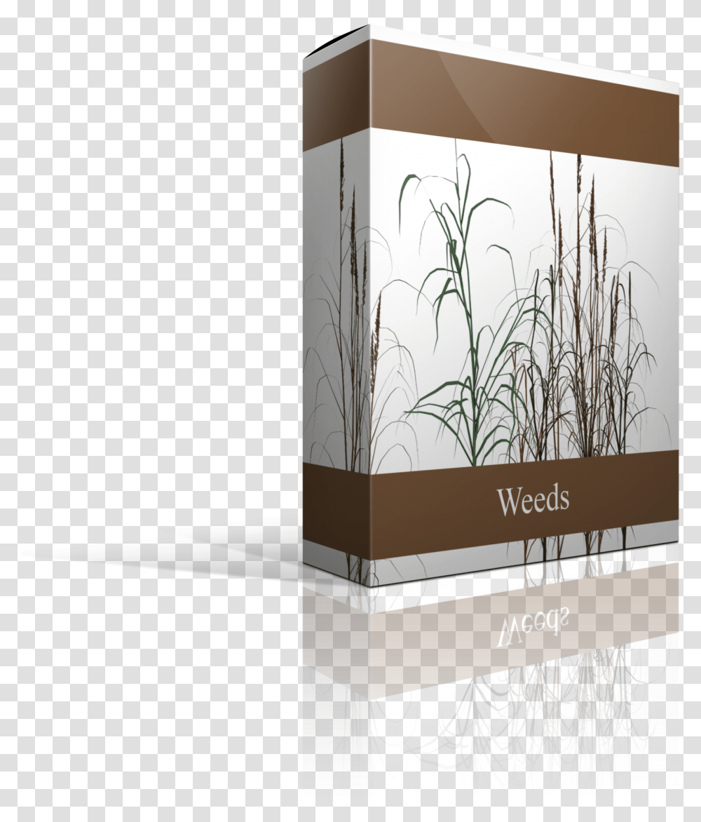 Twig, Grass, Plant, Lawn, Reed Transparent Png