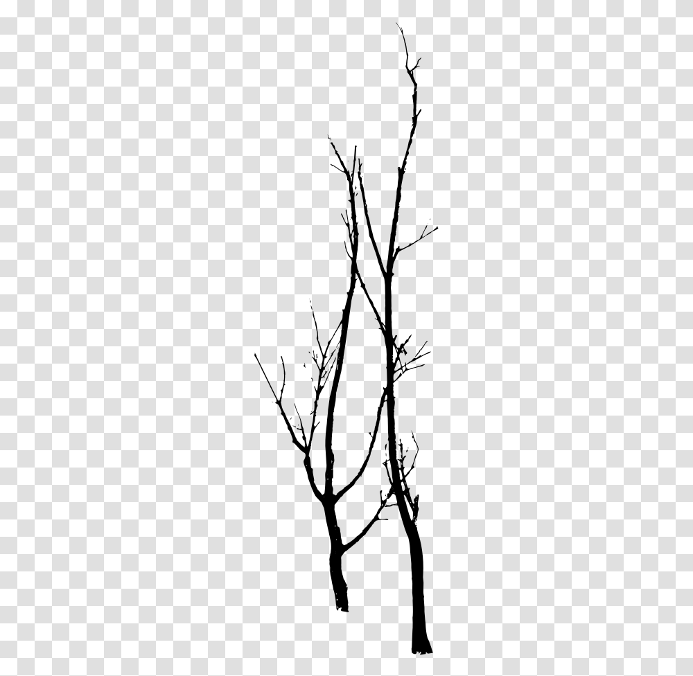 Twig, Gray, World Of Warcraft Transparent Png