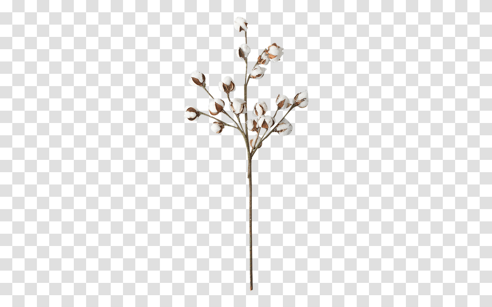 Twig, Jewelry, Accessories, Accessory, Chandelier Transparent Png