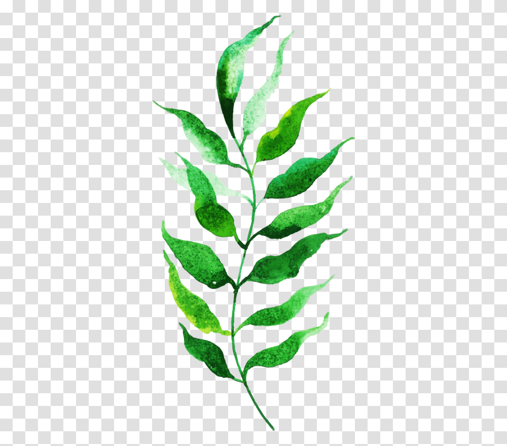 Twig, Leaf, Plant, Green, Food Transparent Png