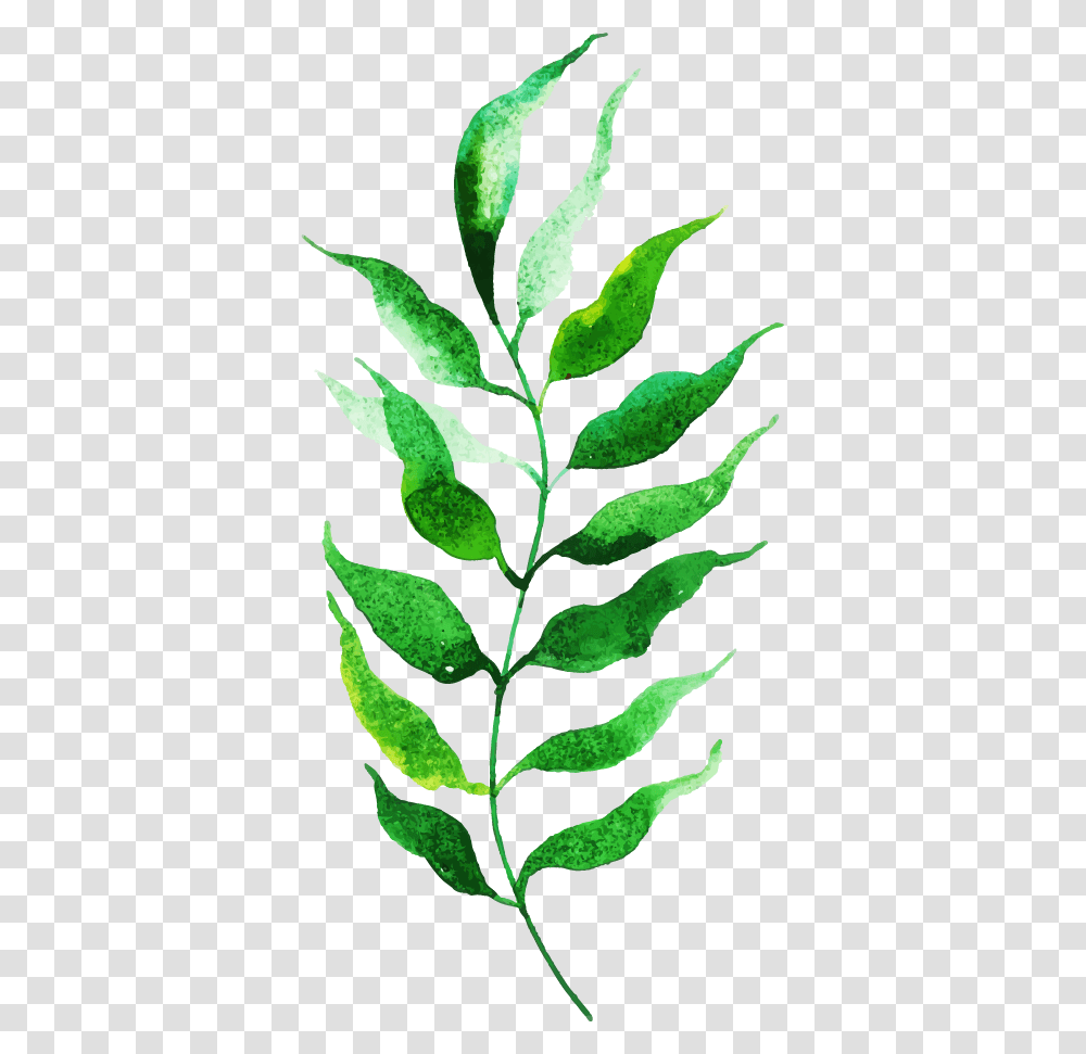 Twig, Leaf, Plant, Green, Pineapple Transparent Png
