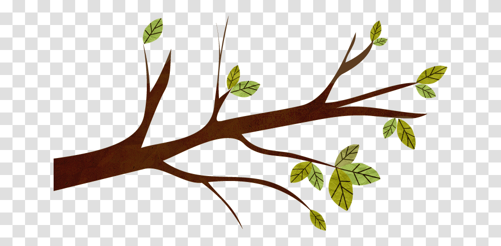 Twig, Leaf, Plant, Tree, Animal Transparent Png
