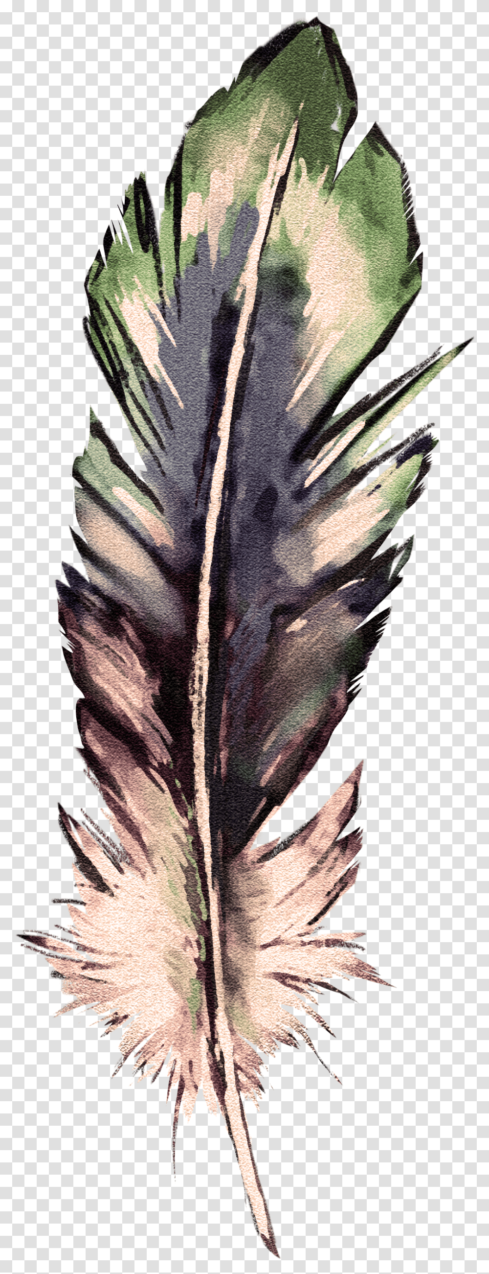 Twig, Leaf, Plant, Veins, Scarf Transparent Png