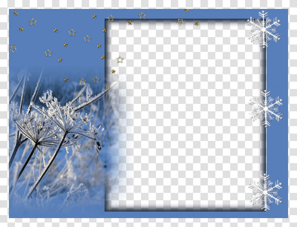 Twig, Nature, Outdoors, Ice, Snow Transparent Png