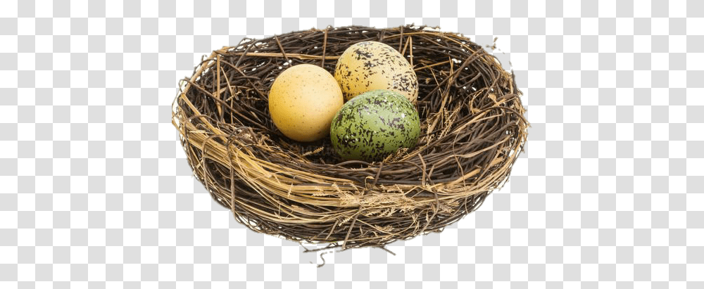 Twig Nest, Bird Nest, Food, Egg Transparent Png
