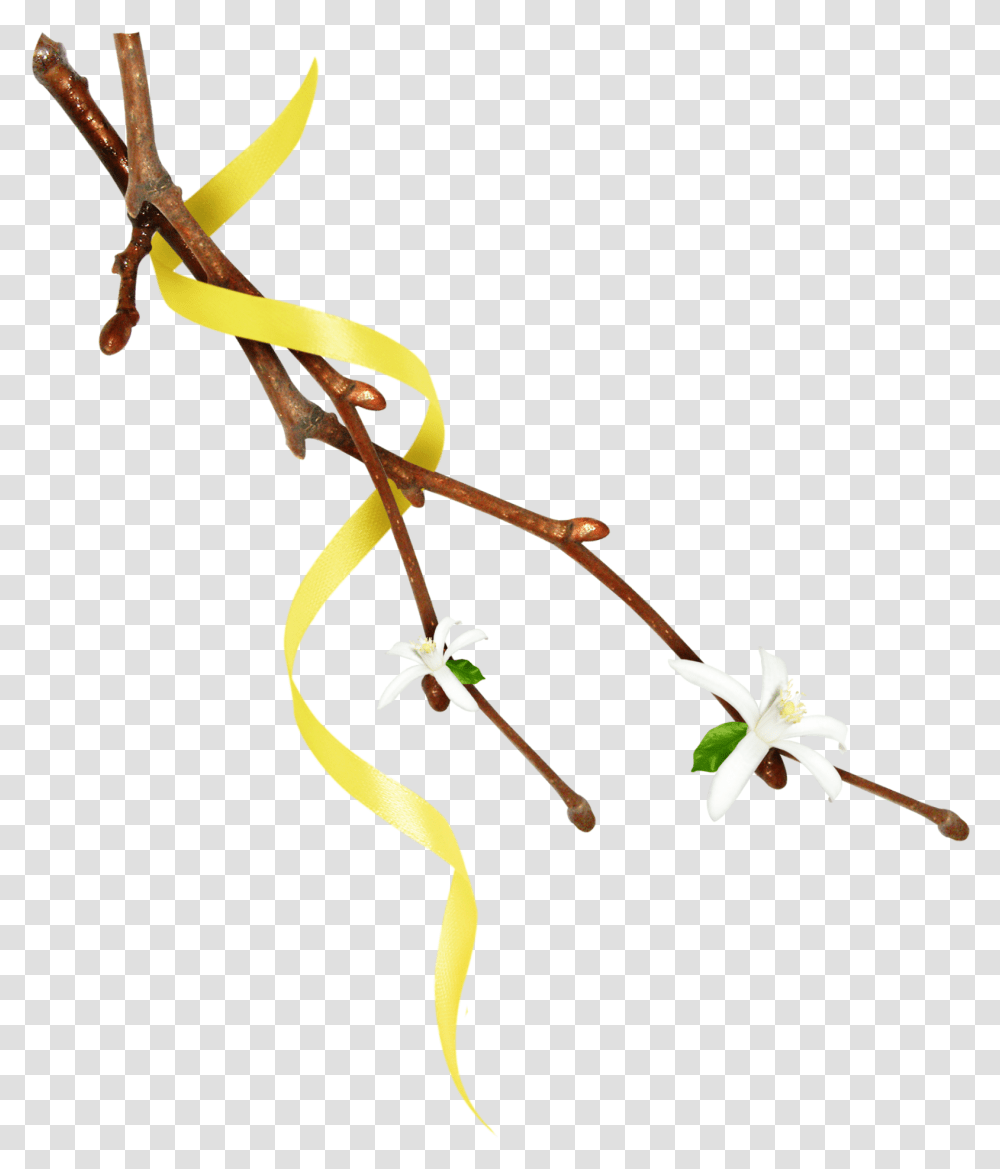 Twig, Plant, Bow, Flower, Tree Transparent Png