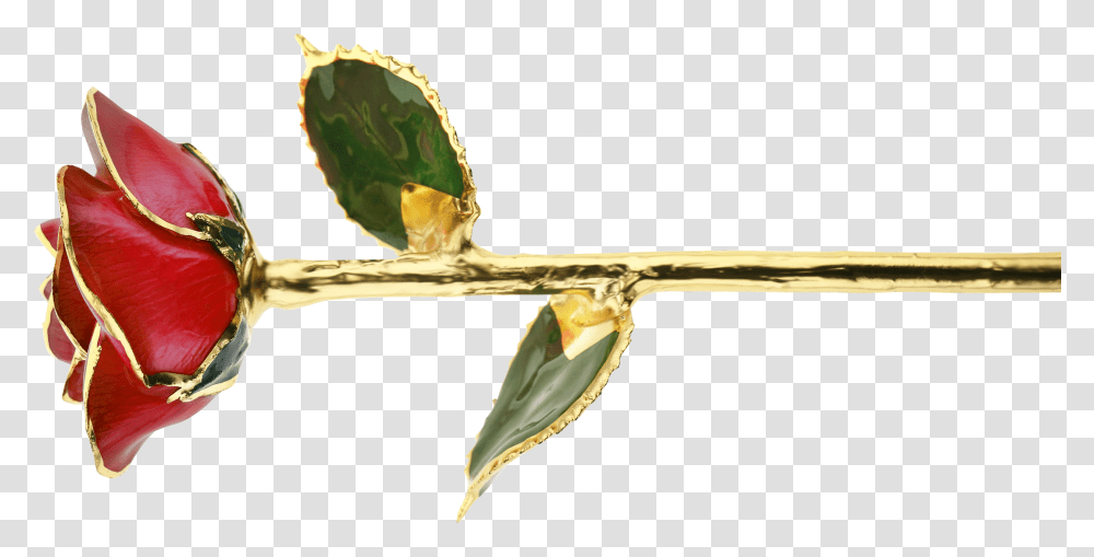 Twig, Plant, Bud, Sprout, Flower Transparent Png