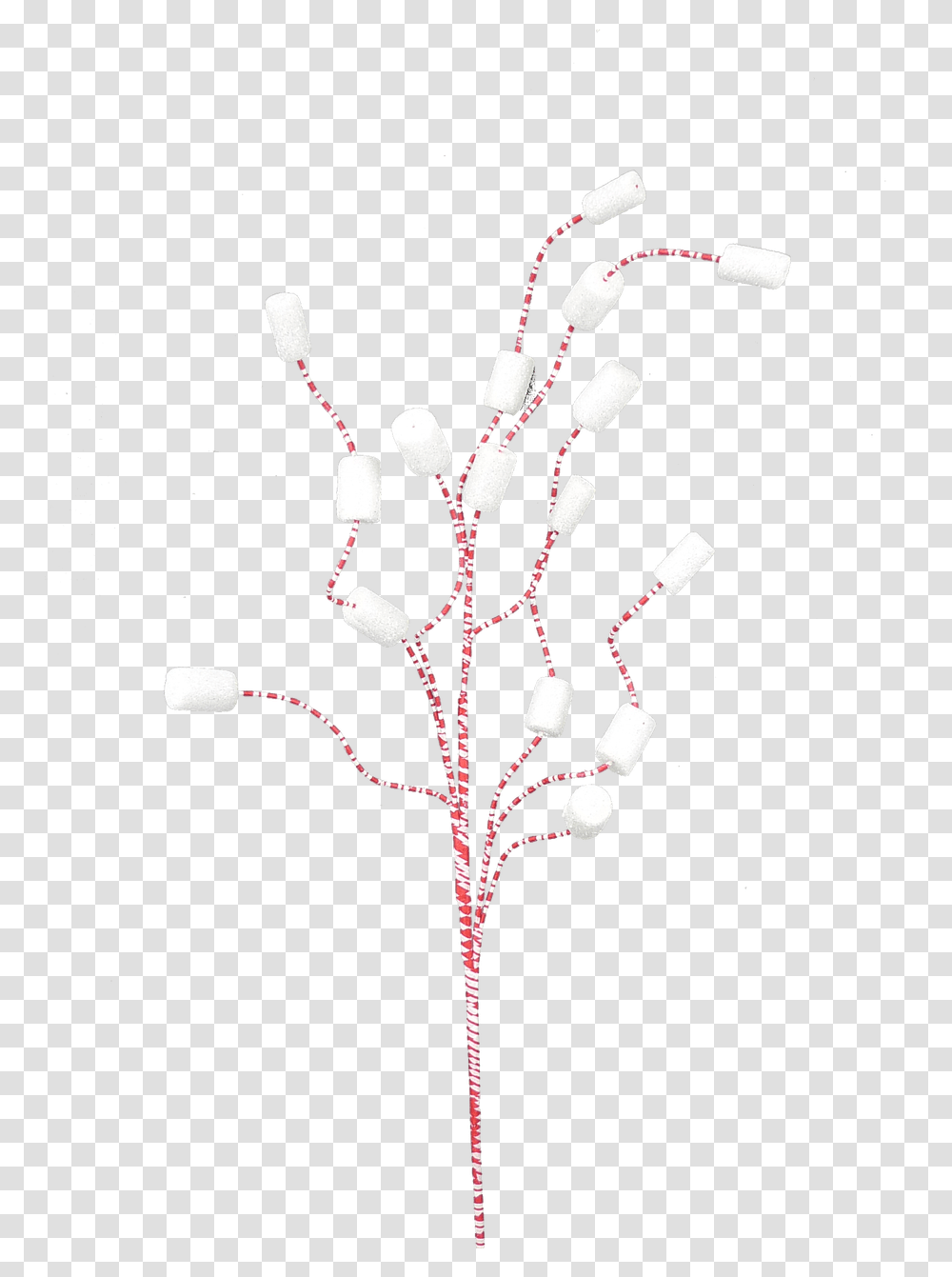 Twig, Plant, Flower, Blossom Transparent Png