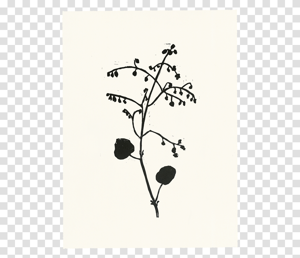 Twig, Plant, Flower, Tree, Bird Transparent Png