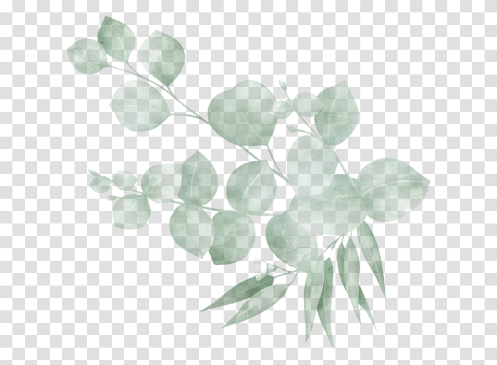 Twig, Plant, Painting Transparent Png