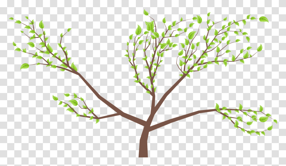 Twig, Plant, Tree, Leaf, Flower Transparent Png