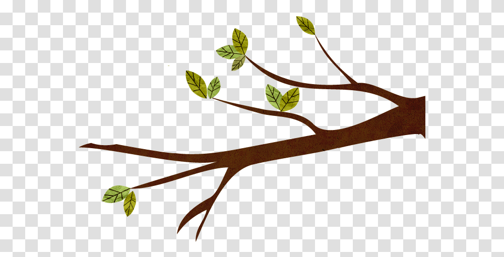 Twig, Plant, Tree, Leaf, Flower Transparent Png