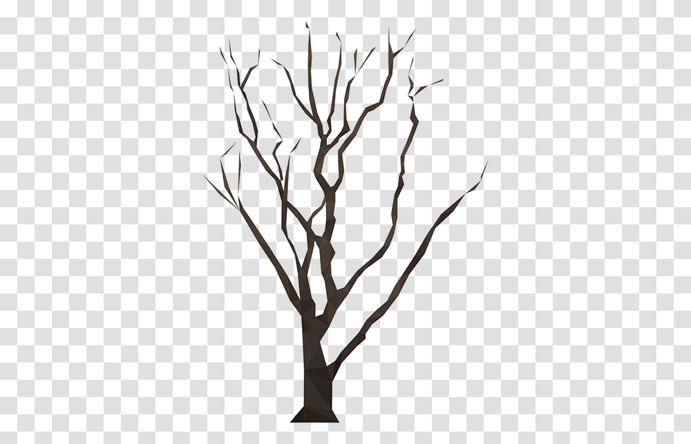 Twig, Tree, Plant, Tree Trunk, Silhouette Transparent Png