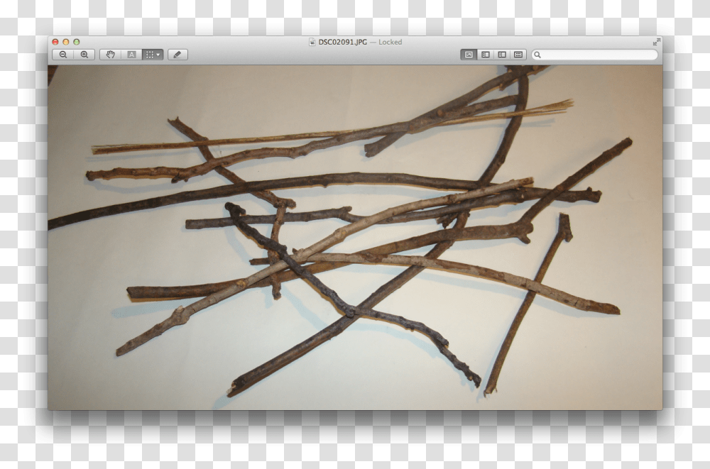 Twig, Wood, Wire, Spider, Invertebrate Transparent Png