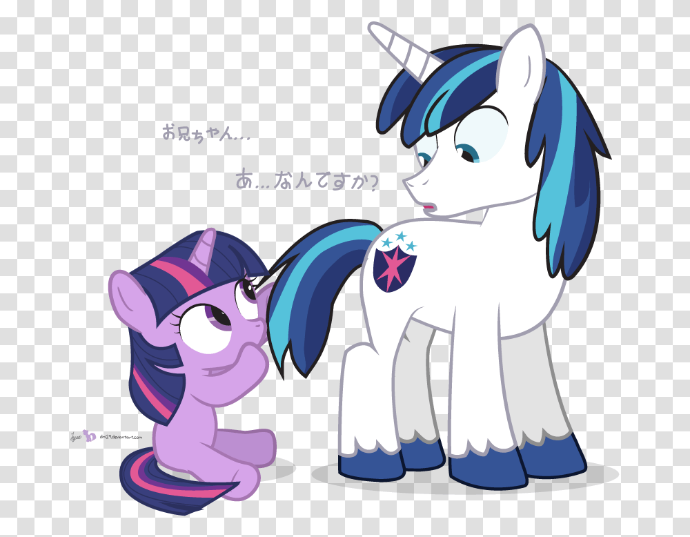 Twilight Sparkle Rainbow Dash Rarity Applejack Shining Armor Filly Twilight Sparkle Young, Outdoors, Crowd, Costume Transparent Png
